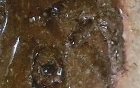 0be882209f2b4cecc75df6e11a3fd43a