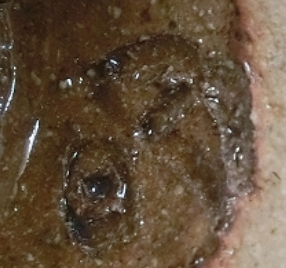 陶芸作家竹下明宏 身延窯の陶印画像