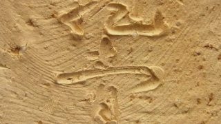 1174fa4edd037e9d984f0aadd23ee159