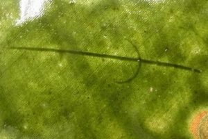 陶芸作家藤井敬之 ひろ窯の陶印画像