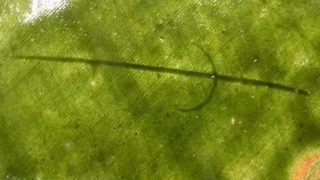 13f45e781dc7cef864b19d3dc27a1c57