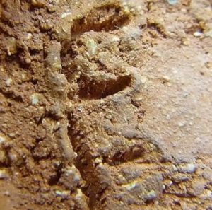 陶芸作家丸田泰義 一の瀬焼の陶印画像