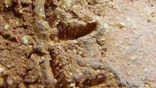 18b2f5dc7938e607d6c8a07750656013