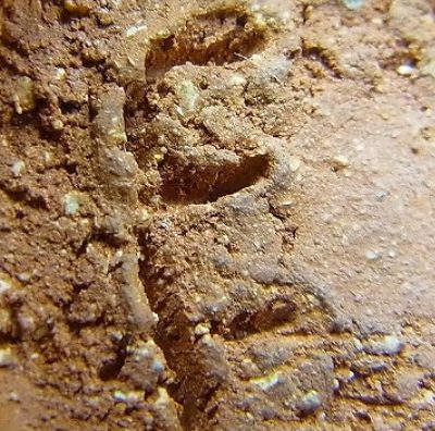 陶芸作家丸田泰義 一の瀬焼の陶印画像