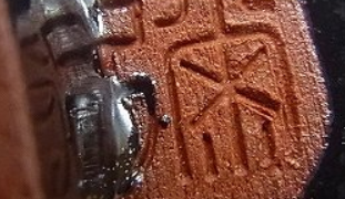 1999755a68953429868f7cf70422e320