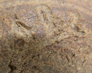 陶芸作家大場淳 深楽窯の陶印画像