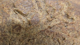 1ae981e5a6c0ebee4ac43ba6561fa924 1