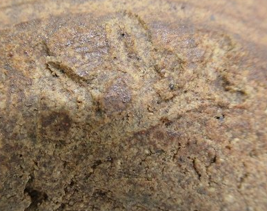 陶芸作家大場淳 深楽窯の陶印画像