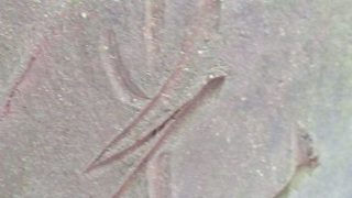 1c162b2efde9444baec5e580880e2b56 1