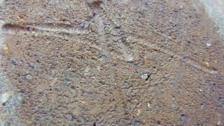 21049d0e92158d365884e5548973160a