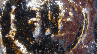 2252cea3331f119f0ebefa1c12dfbb7e