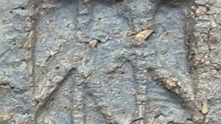 240619778df77ea64a33a069a2a7b203 1