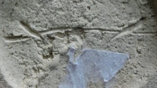 2d2d2c1766a0045e98129090c1af9033