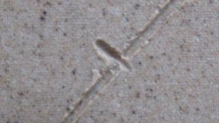 326446dfbd6fac3ffa6b4f5239c0f86a