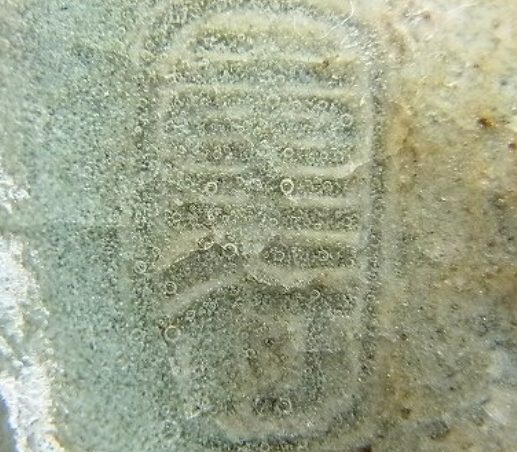 陶芸作家山本重行 魚雲窯の陶印画像