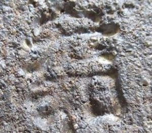 陶芸作家秋野宏和の陶印画像