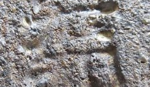 40e2de1874944a5faaabb16c6dfd46c3 1