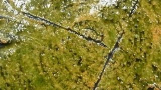 4693d30fccd218d0598aaadcaa3cf0a7