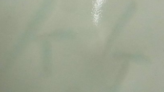 4aafbbf35d4dbb18a16f9bf5f7a2870e