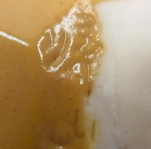 陶芸作家井高帰山の陶印画像