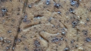 508653cf0328aa872b8638c114d53617 1