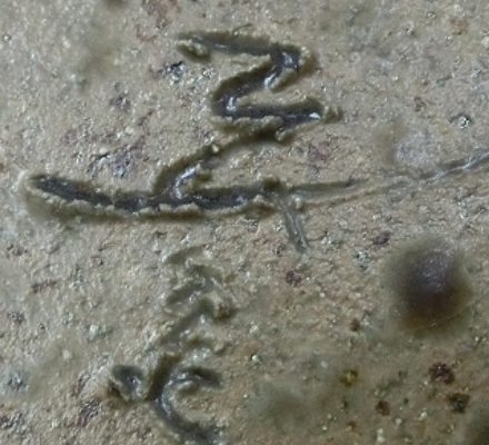 陶芸作家森山喜久男 小石原焼の陶印画像