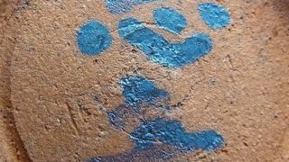 573ae46cf00b8d7f2f2f82084138a8f3