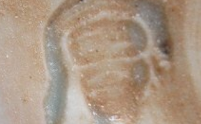 58e895bbd46d415e326eb6e4d76120e0 1