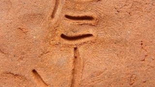 647e5e68b70288cd72a5085d45fa8263