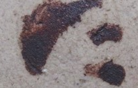 6c8279e5e5d9c3b3061a4f9829b20e3c