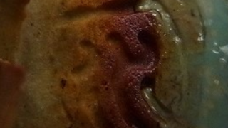 6ea5fe3bd4ddc630a82b88ef51393463