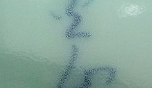 7319891db8453bbaa129d8cd62fb5f59