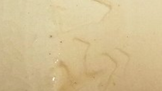 781f3677c4a48e970c1bc7cedf8bfbb8 1