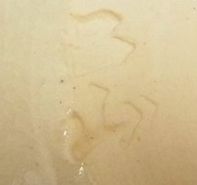 陶芸作家加藤昌山の陶印画像