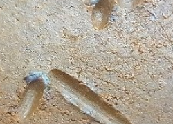 78decdc184c247f429660f313ac44ef4 1