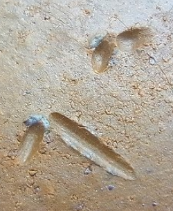 陶芸作家大友辰雄の陶印画像