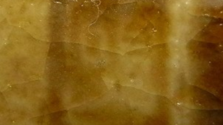 820b890754d81a5d6a2e103fa1ab7978