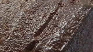 8b0835d703b95244378123cee8ed164b 1