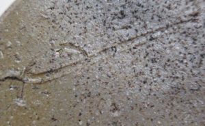 陶芸作家中平美鈴の陶印画像