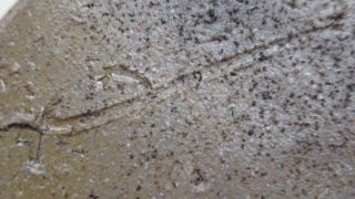 8e6aea1cf4ccf58f6c7c9a6d67c63731