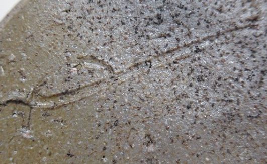 陶芸作家中平美鈴の陶印画像