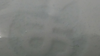 98603d39a8145ab9fa10b872435a2d7e