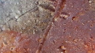 9d6d99d1ae9fd218f555d36434abde9c