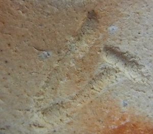 陶芸作家杉本睦子の陶印画像