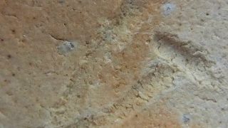 a6f4fe197e100df7cb95a9be6f3bdd16