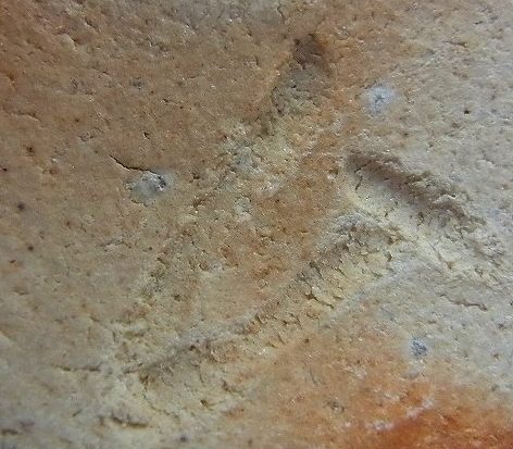 陶芸作家杉本睦子の陶印画像