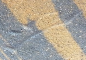 陶芸作家月岡三郎の陶印画像