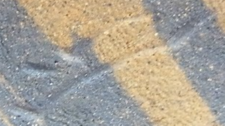 b0e07353cba582c03af27446b8f7b2a9 1