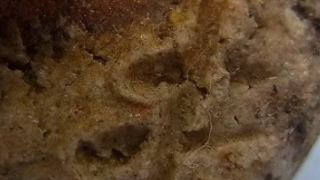 c73fe6bf17d11b5893c061a594ff926f