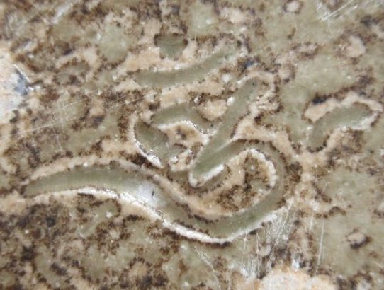 陶芸作家吉田兆秀 六大窯の陶印画像